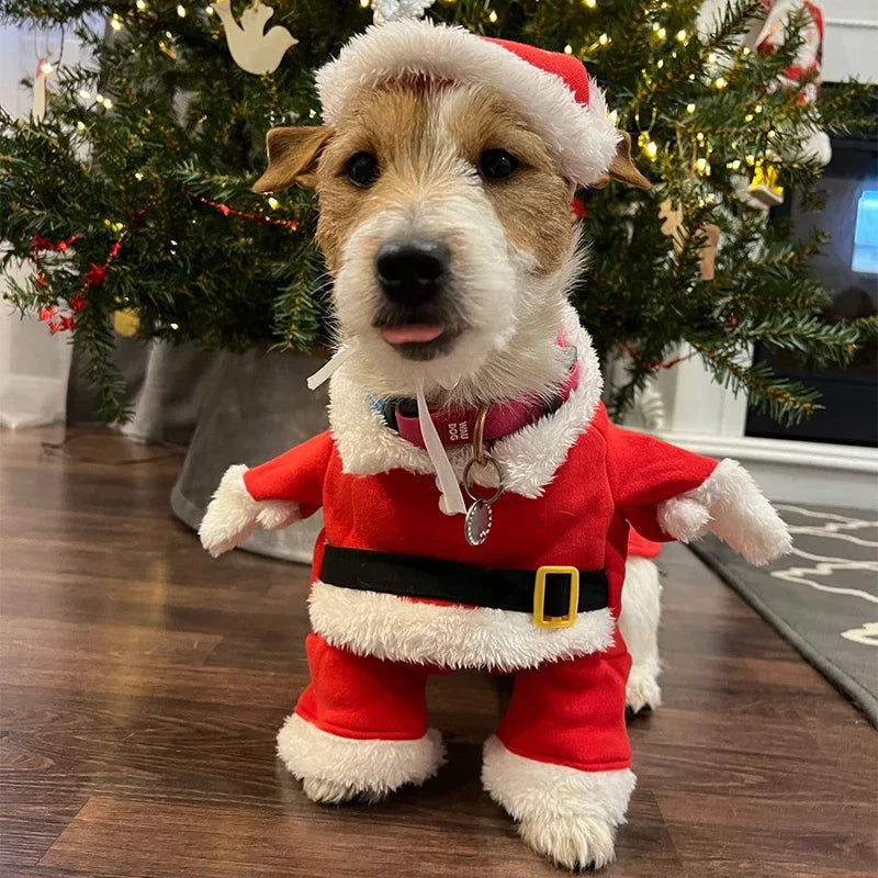 Benny’s Festive Pup Suit – Santa Outfit for Small Dogs & Cats