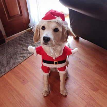 Benny’s Festive Pup Suit – Santa Outfit for Small Dogs & Cats
