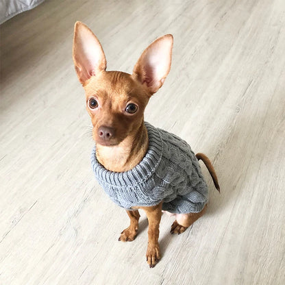 Knitted Pup Sweater